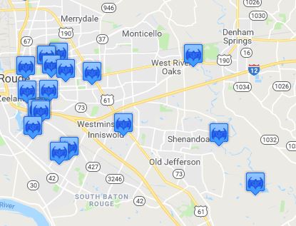 Baton Rouge Bat Removal Services