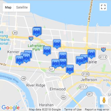 Metairie Bat Removal Service