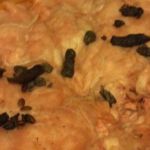 Raccoon poop on insulation Raccoon poop on insulation