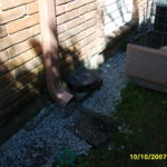 Opossum Barrier - Rocks Opossum Barrier - Rocks