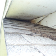 Bat entry point on a roof return - notice the dark staining near the opening and the guano on the shingles