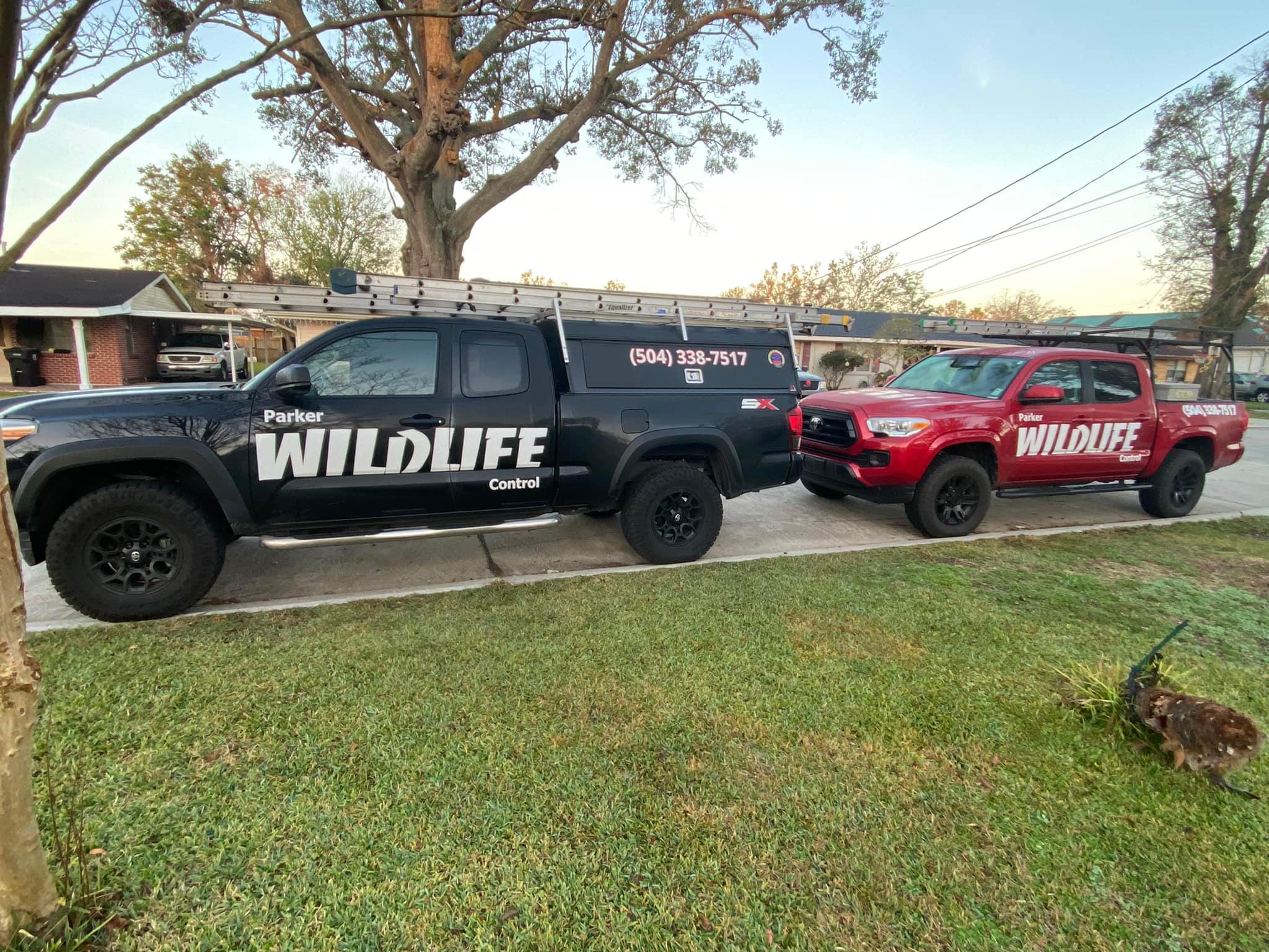 Parker Wildlife Control Red and Black Trucks