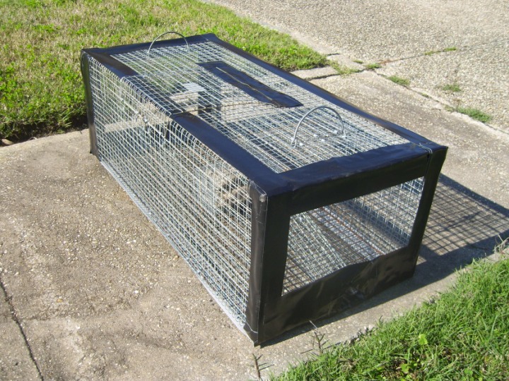 Snake Removal Images