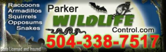 Parker Wildlife Control - Gets bats out!