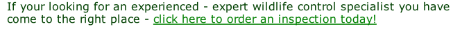If your looking for an experienced - expert wildlife control specialist you have come to the right place - click here to order an inspection today!